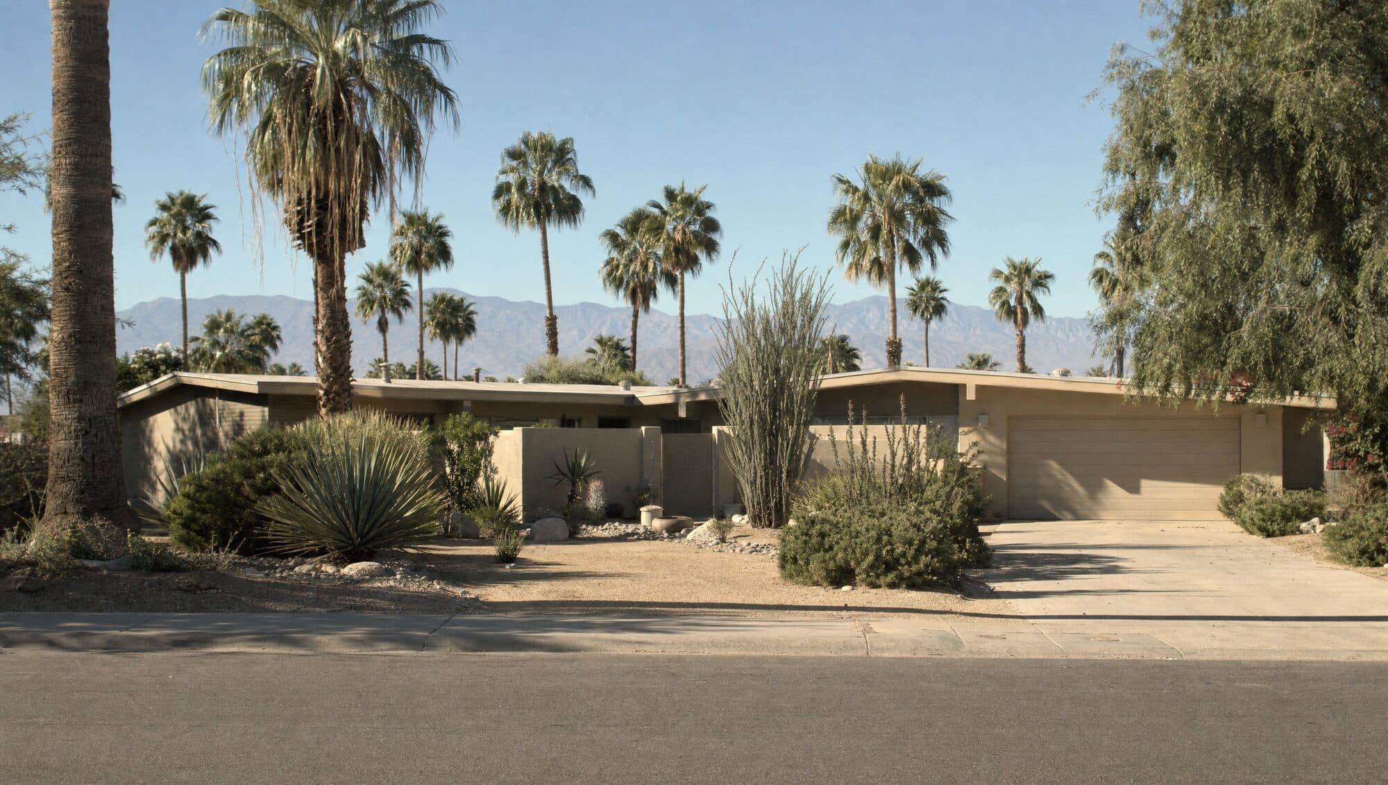 A single-story home under tall palms on a sunny street